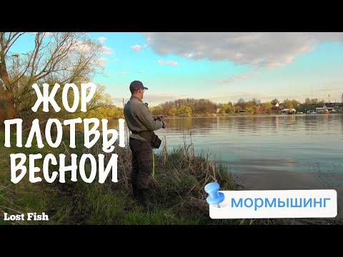 Видео: ЛОВЛЯ ПЛОТВЫ ВЕСНОЙ НА СПИННИНГ! Мормышинг