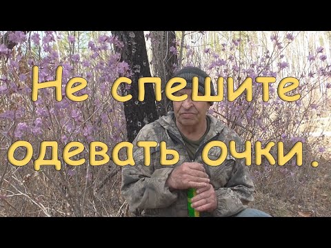 Видео: Не спешите надевать очки.