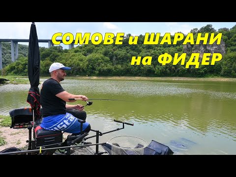 Видео: СОМОВЕ и ШАРАНИ на МЕТОД ФИДЕР - КАК да ХВАНЕМ МНОГО РИБИ - ТАКТИКА и СТРАТЕГИЯ за УСПЕШНИЯ РИБОЛОВ