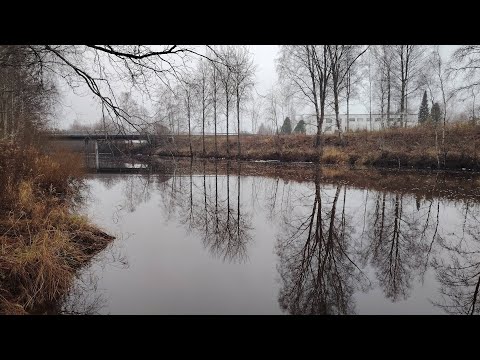 Видео: Пробуємо ловити хижака 🎣