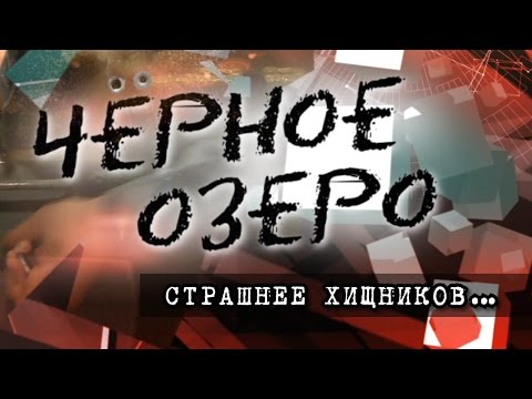 Видео: Страшнее хищников... Черное озеро #62 ТНВ