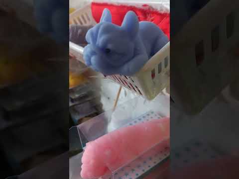 Видео: соббота сквиши собачек новая кровать собак сквиши коты встали раньше собак