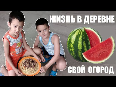 Видео: Жизнь в деревне 🍉селе, на даче🌹 Мы сегодня в гостях собираем урожай 🍐🍑🍏 Готовим супер заказной плов