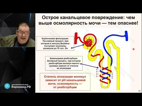 Видео: Афанасьев В В, Афончиков В С  Токсикология в ОРИТ