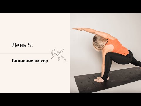 Видео: Внимание на кор