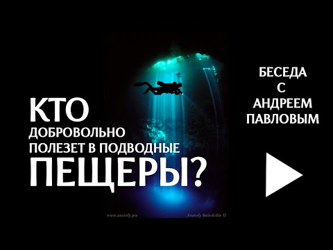 Видео: Кто добровольно полезет в подводные лабиринты? #diving #cenotesmexico #mexico