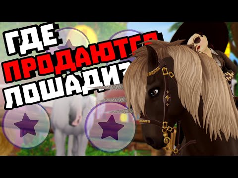 Видео: Где Продаются все Лошади? | Все места с продажей Лошадей в 2023! | Star Stable