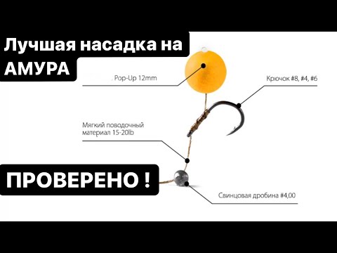 Видео: Лучший поводок на Амура, монтаж за 2 минуты