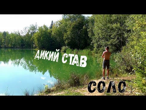 Видео: 💥Ставок у дикому лісі. Риболовля з ночівлею соло💥