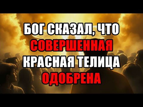 Видео: Избранный, Отныне Это Твой Божий Долг! Вечное Богатство И Изобилие Навсегда Твоё!