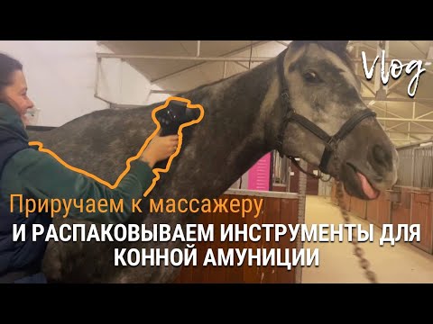 Видео: Приучаем лошадь к массажеру | Распаковка инструментов для работы по коже