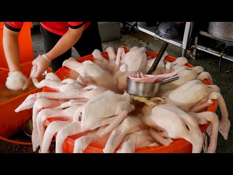 Видео: Невероятная технология: приготовление блюд из нарезанного холодного гуся и тушеных внутренностей