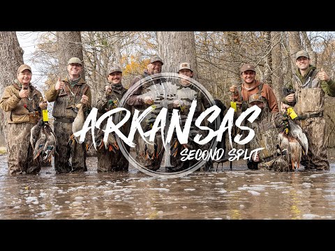 Видео: Утиная охота – Арканзас, второй сплит