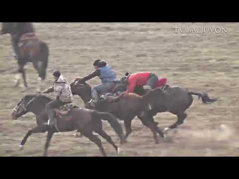 Видео: Бузкаши дар д Зардолудашт н Ховалинг Кисми 9