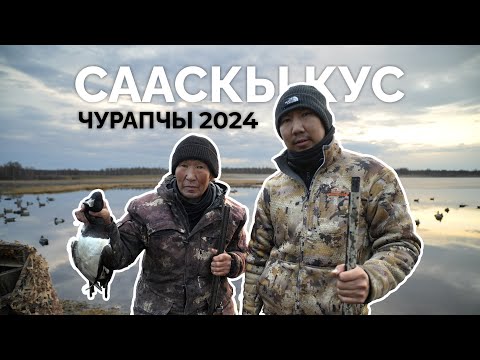 Видео: Сааскы куска аҕабынаан - Чурапчы / Весенняя охота на уток в Якутии