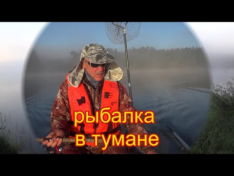 Видео: Туманное утро на Вселуге. Продолжение рыбалки на новом месте. Мелкие щучки радуют поклевками.