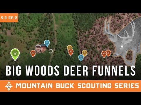 Видео: Поиск оленьих воронок в плоских больших лесах | Серия «Скаутинг горных оленей» | С.3 Эпизод 2