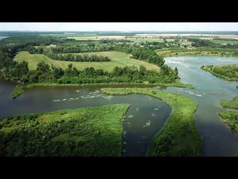 Видео: р.Неман. (Хартица. Ковшово) Гродненская область. РБ