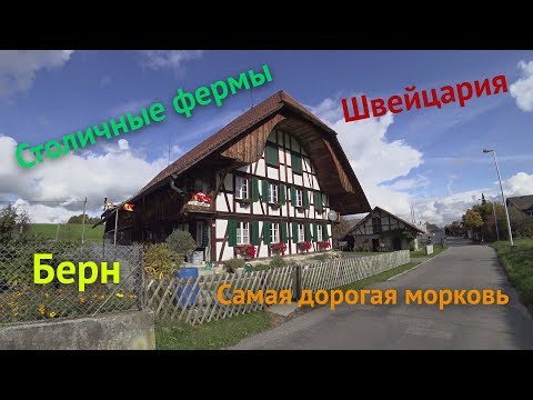 Видео: Швейцария – страна фермеров-богачей