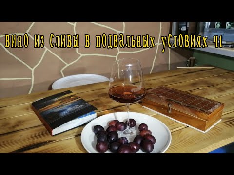 Видео: вино из сливы в домашних условиях ч1