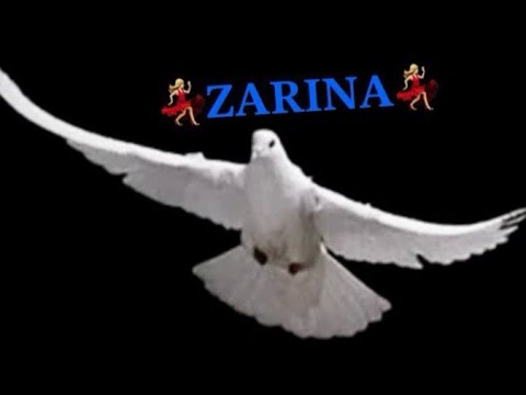 Видео: Авторские песни 🔥🎼💯🟠Айгор🎹🎸🎧🎤https://youtube.com/@degorest?si=FtYbIjVvTfd6gZqG канал автора