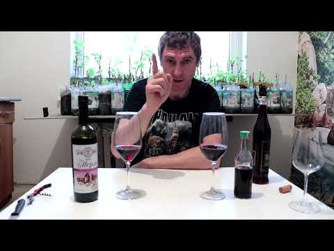 Видео: Мерло! Белгородский Терруар против Южного!!!