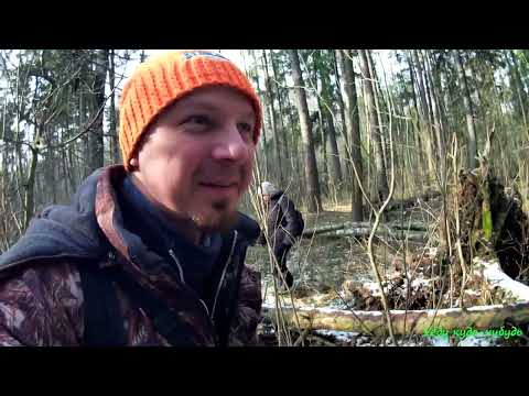 Видео: Однодневный поход в лес на обед всей семьёй.