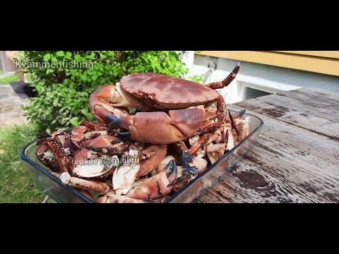 Видео: Рыбалка в Норвегии. красивая рыбалка в Норвежских фьердах. Ловим краба. Новый рекорд.