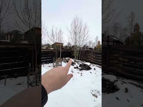 Видео: Про участок в октябре