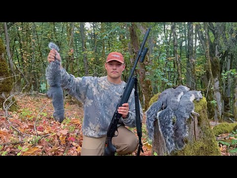 Видео: Охота на ОГРОМНЫХ серых белок в Орегоне | Поймай и приготовь | Видео SHOTKAM