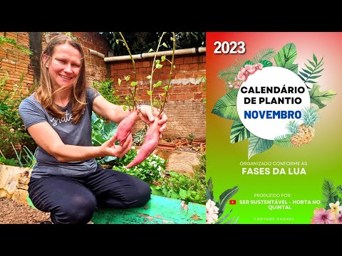 Видео: Что посадить в НОЯБРЕ? 📅 Календарь посадок 🌱 Сад на заднем дворе 💚