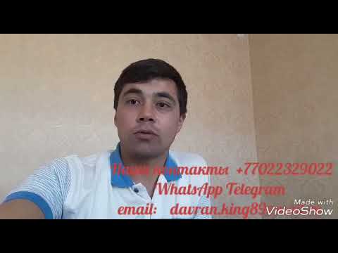 Видео: Павловния. Семена, корни и черенки корней.  Pawlovnia seeds, roots and cuttings of roots.