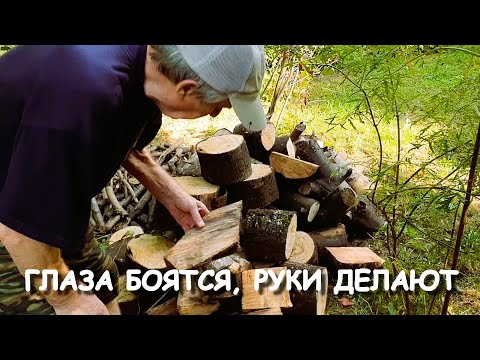 Видео: Дачные будни. Мы в шоке - гигантский урожай. К зимовке - пастила. Халявные дрова