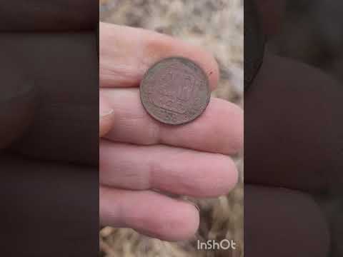 Видео: Коп-эквинокс-900#природа#тайга#отдых#ходим бродим👣