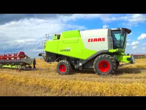 Видео: Уборочная компания 2019: Комбайны Claas Lexion 770,760,580,540 начали уборку зерновых в СПК "Гигант"