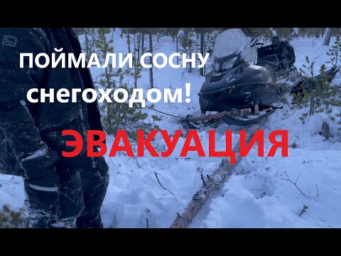 Видео: ЭВАКУАЦИЯ снегохода | Рыбалка сорвана !