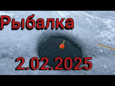 Видео: Рыбалка на диком озере 2 февраля: Поплавок не выдерживает — топим дно! Зимняя рыбалка 2025
