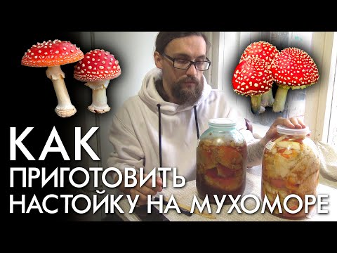 Видео: КАК ПРИГОТОВИТЬ НАСТОЙКУ НА МУХОМОРЕ