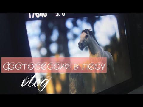 Видео: типа влог: ФОТОСЕССИЯ для лошадей schleich