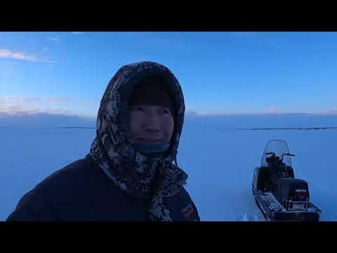 Видео: Проверка жерличек на р. Индигирка. Черно-Белое кино продолжается...