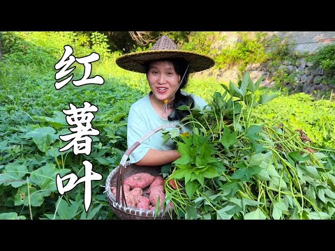 Видео: Тарелка жареных листьев батата и тарелка золотистого цукатов из батата