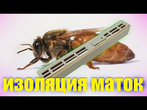 Видео: Изоляция Маток