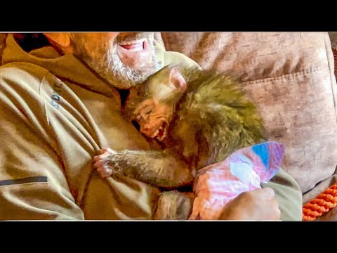 Видео: Анфиса С ВИЗГОМ ВЦЕПИЛАСЬ в любимого папу, как же ОНА СОСКУЧИЛАСЬ, а мы идем ЗАБИРАТЬ ЛЮСЬКУ!