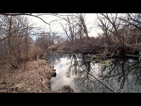 Видео: Голодные Щуки в Маленькой Речке. Щука на неогруженную резину осенью.