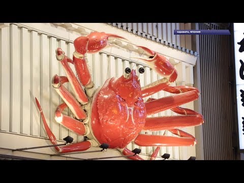 Видео: Крабовые палочки: откуда они берутся и стоит ли их бояться?