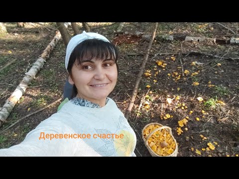 Видео: Собрали грибы/ Строим веранду