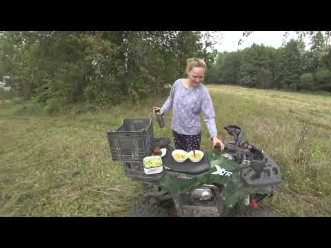 Видео: Осенний сенокос!!