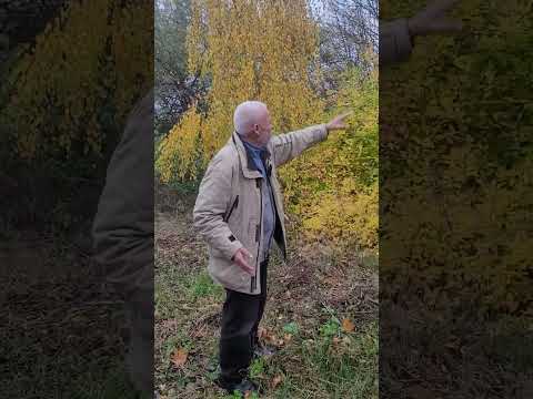 Видео: 5 листопада 2025 р.