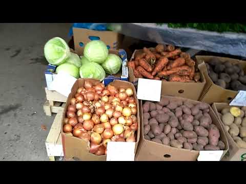 Видео: Центральный рынок г. Майский. КБР. Обзор. Цены!