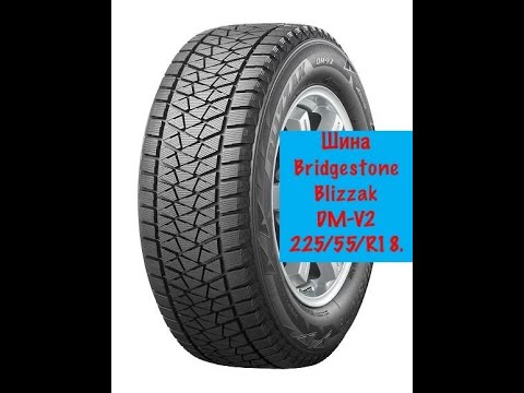 Видео: Зимняя резина Bridgestone Blizzak DM-V2 225/55 R18